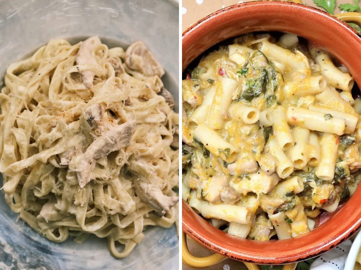 Side-by-side comparison of creamy sauce coating flat fettuccine ribbons and collecting inside hollow rigatoni tubes.