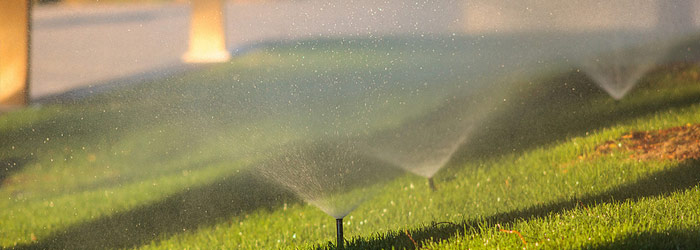 Use Sprinklers to Run Dogs Off Your Lawn Sprinkler System Running