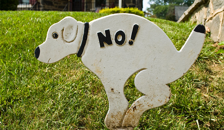 Stop Dogs from Pooping on Your Lawn Sign for No Dog Pooping