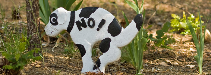 Use Signs to Warn Owners to Stop Dogs from Pooping on Lawn Dog Poop Sign