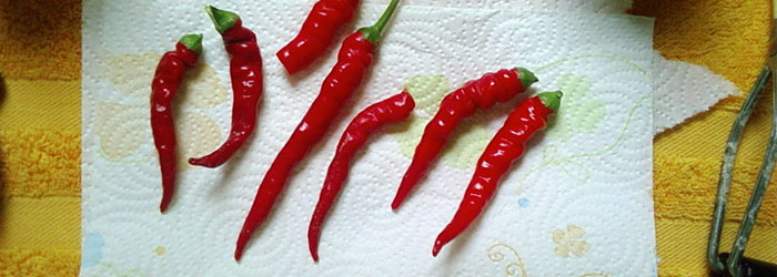 Sprinkle Cayenne Peppers on the Area