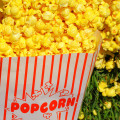 Methods to Warm up Popcorn