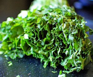 How to Store Cilantro & Keep it Fresh Longer