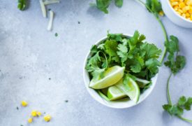 Can You Freeze Cilantro?