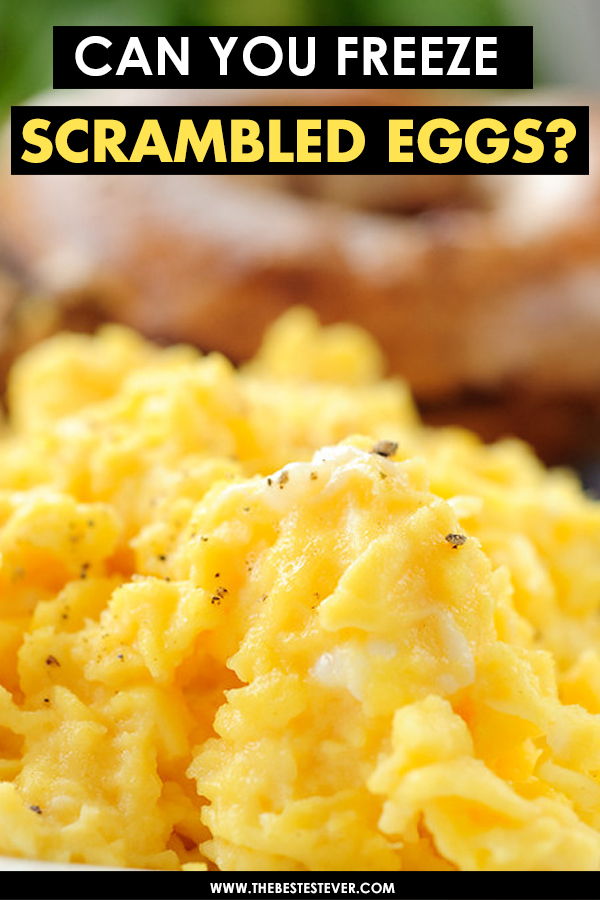 Can You Freeze Scrambled Eggs?