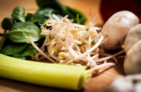 Can You Freeze Bean Sprouts?