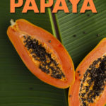 Papaya cut in two, sitting on a leaf