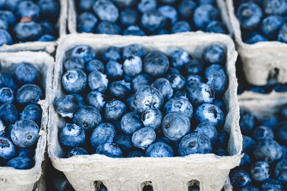 Tray of Blueberries