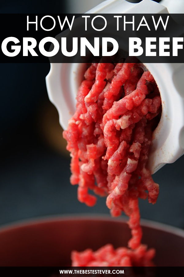 Ground Beef coming out a meat grinder