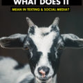 What Does GOAT Mean?