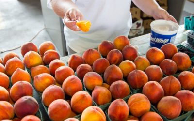 How to Wash Peaches