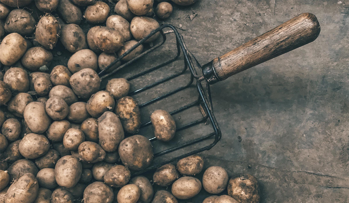 Cleaning Your Potatoes Before Cooking