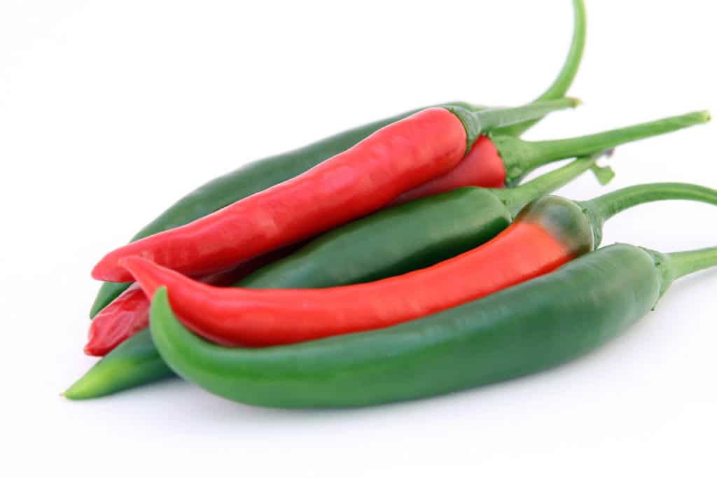 Can You Freeze Jalapenos? A Short Guide