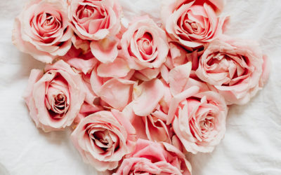 49+ Beautiful Rose Wallpaper for iPhone