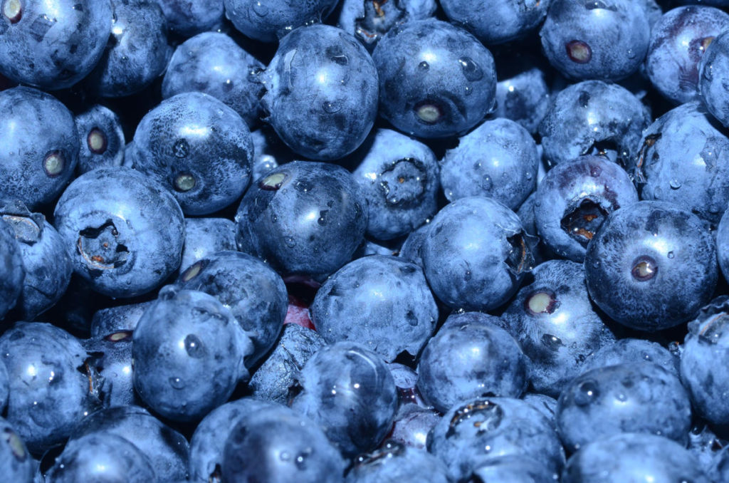 Close up of a bunch of blueberries