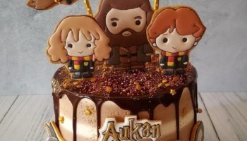 15 Amazingly Magical Harry Potter Cake Ideas & Designs