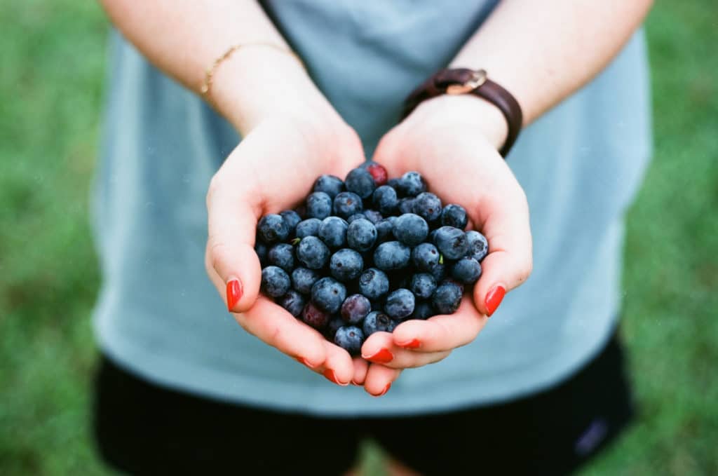 Woman Holding Blueberries in Her Hand