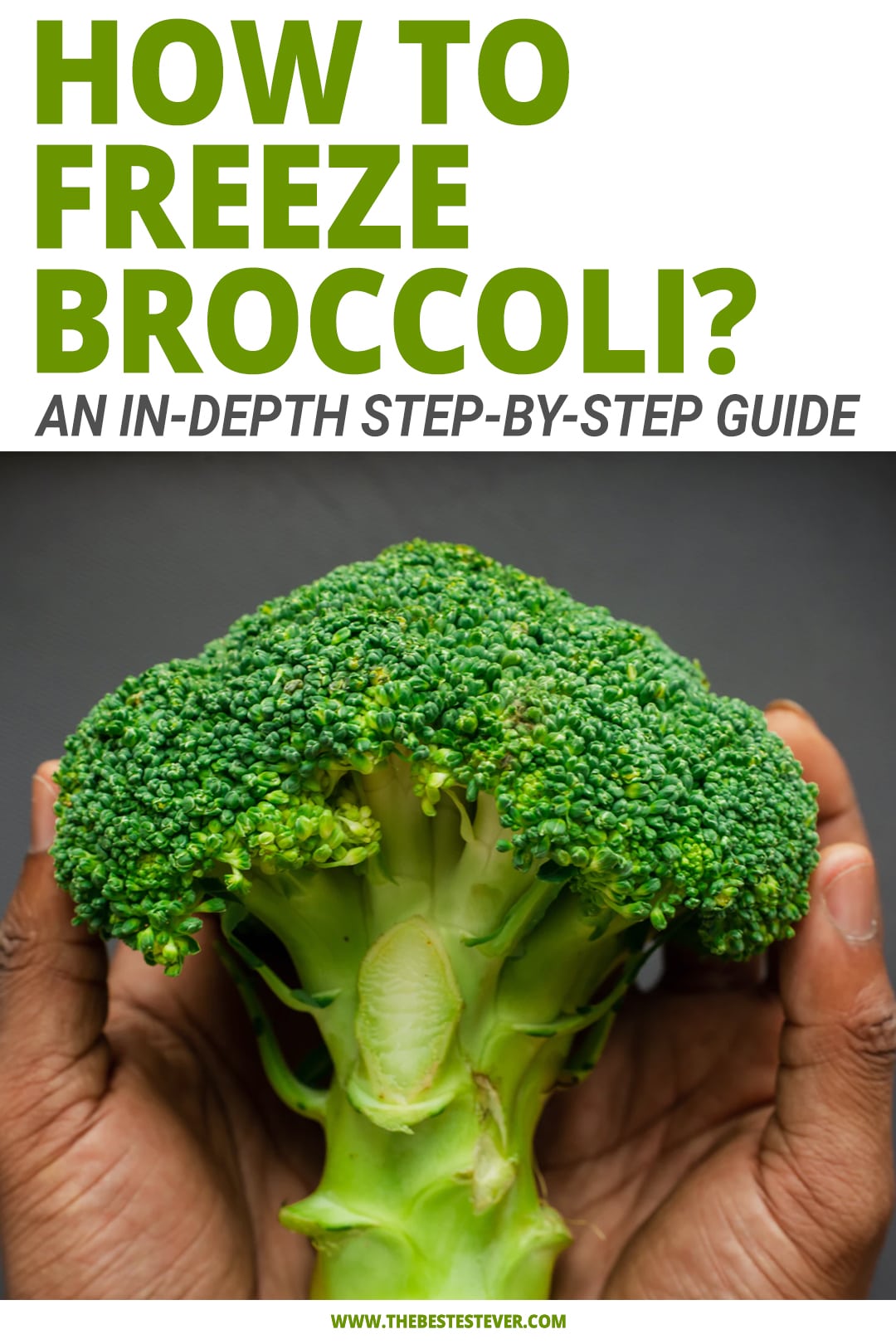 How to Freeze Broccoli (StepbyStep Instructional Guide)