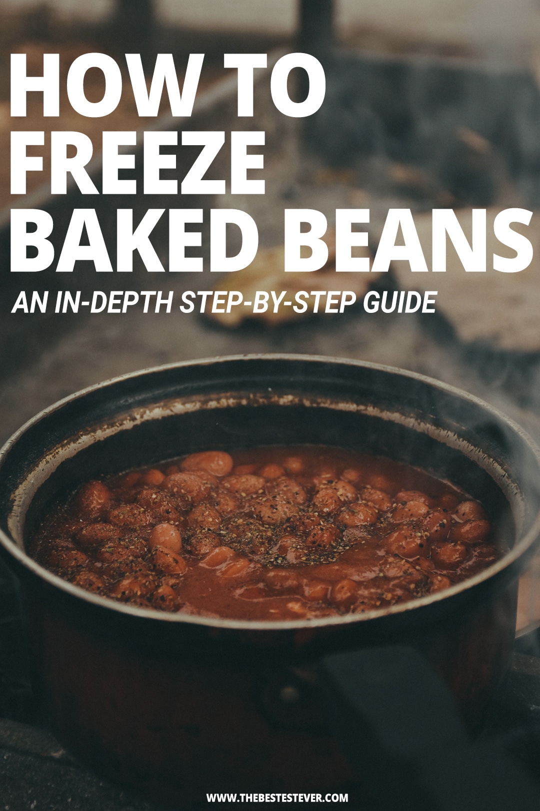 How to Freeze Baked Beans: Step-by-Step Instructional Guide