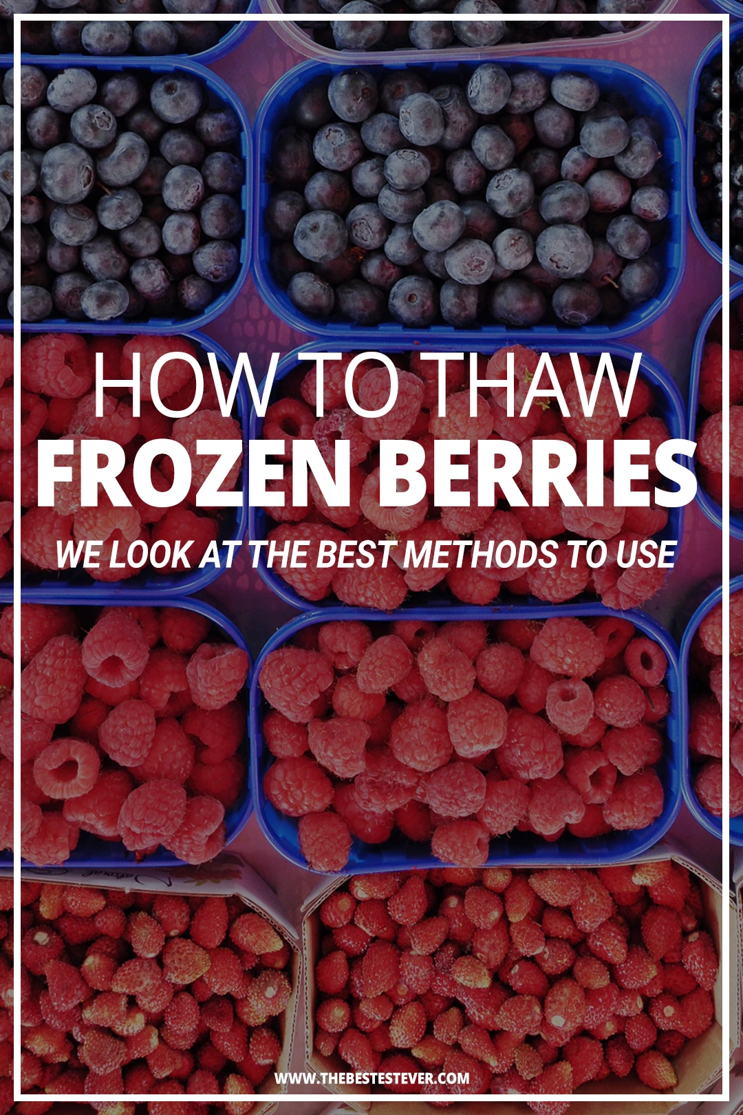 How to Thaw Frozen Berries: A Look at the Best Options