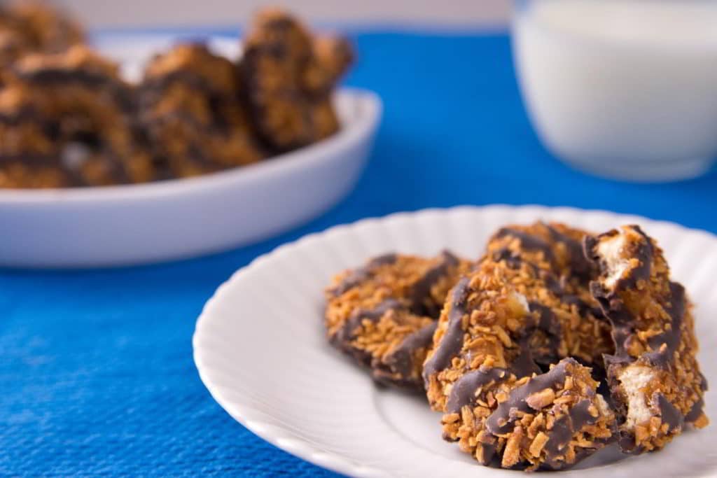 How to Freeze Girl Scout Cookies (A Step-by-Step) Guide