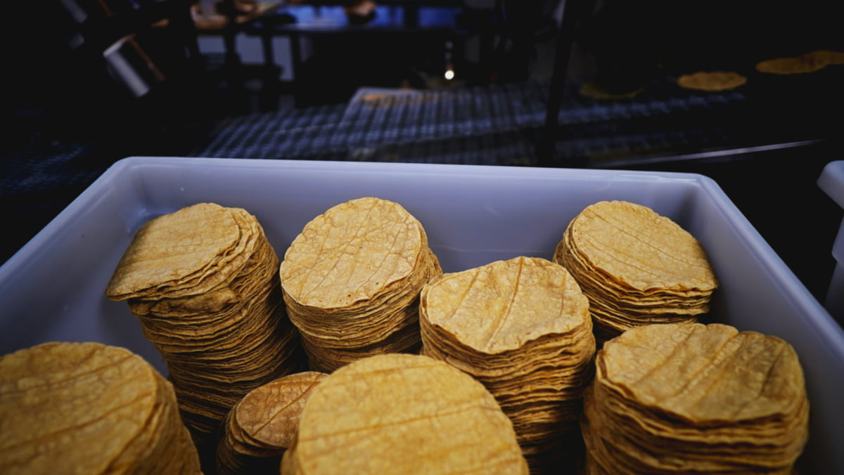 reheating-corn-tortillas