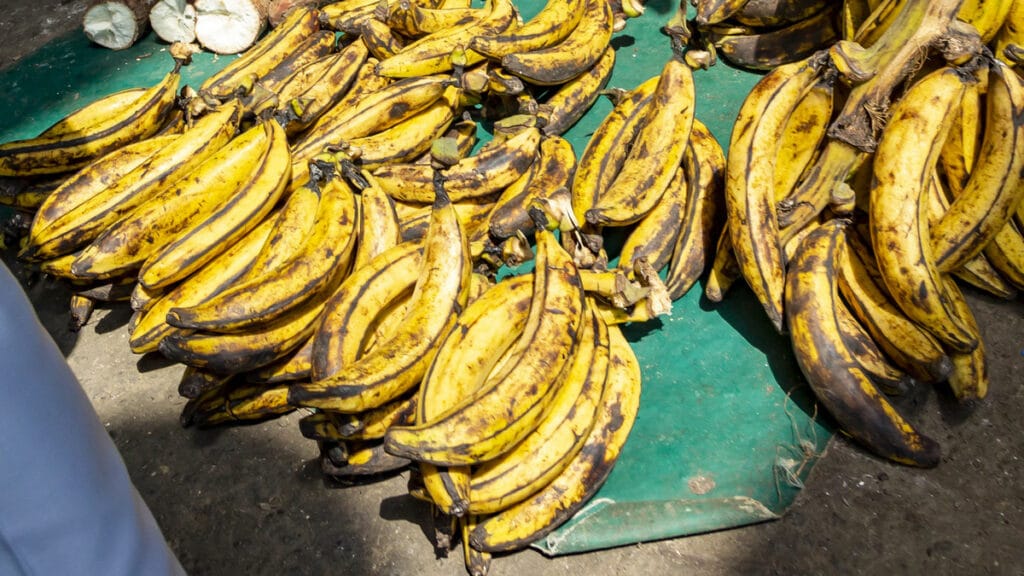 How to tell when plantains are ripe