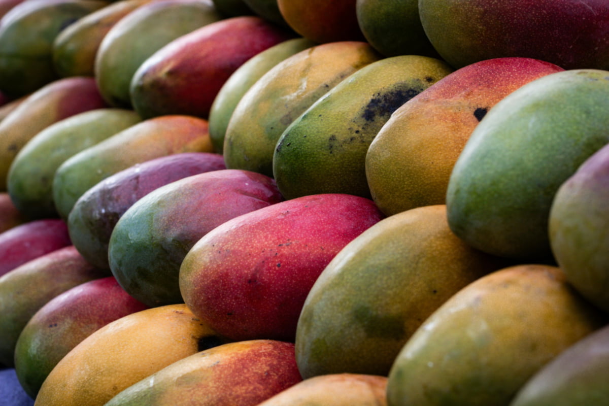 Mango Ripening 101: The Fast and Natural Ways to Do It