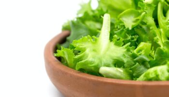 Can You Microwave Lettuce?