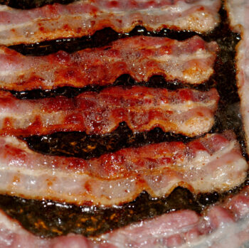 Does Bacon Grease Go Bad?