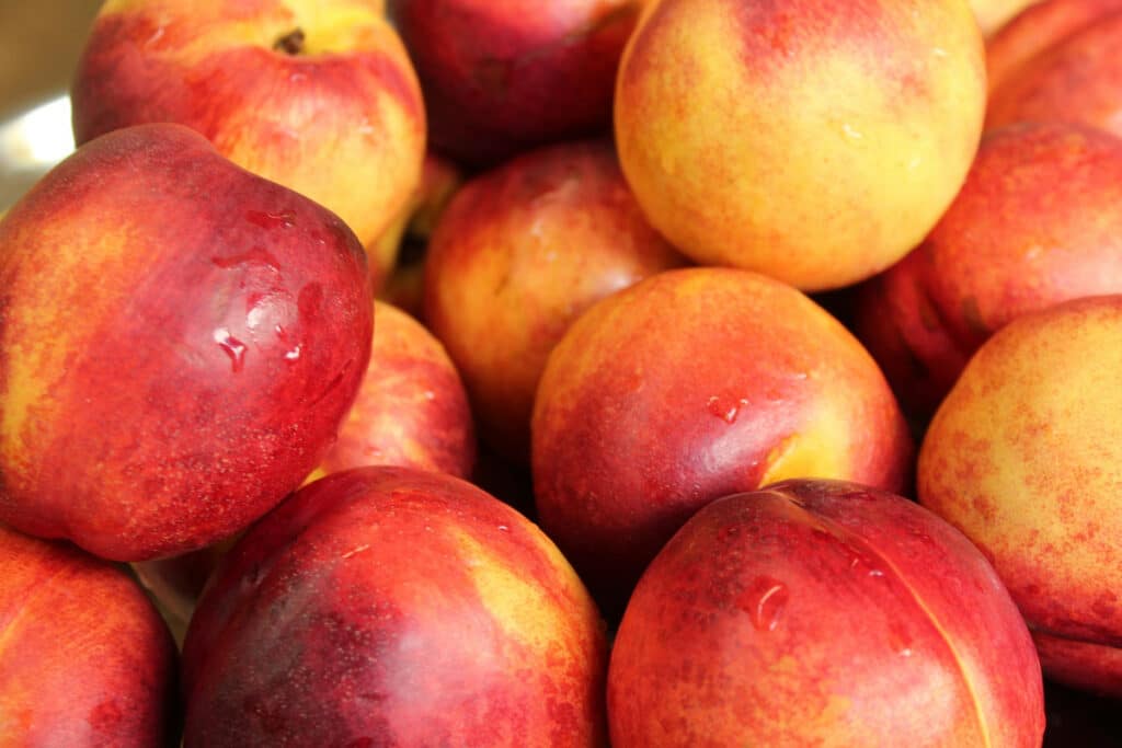 How to Tell if a Nectarine is Ripe?