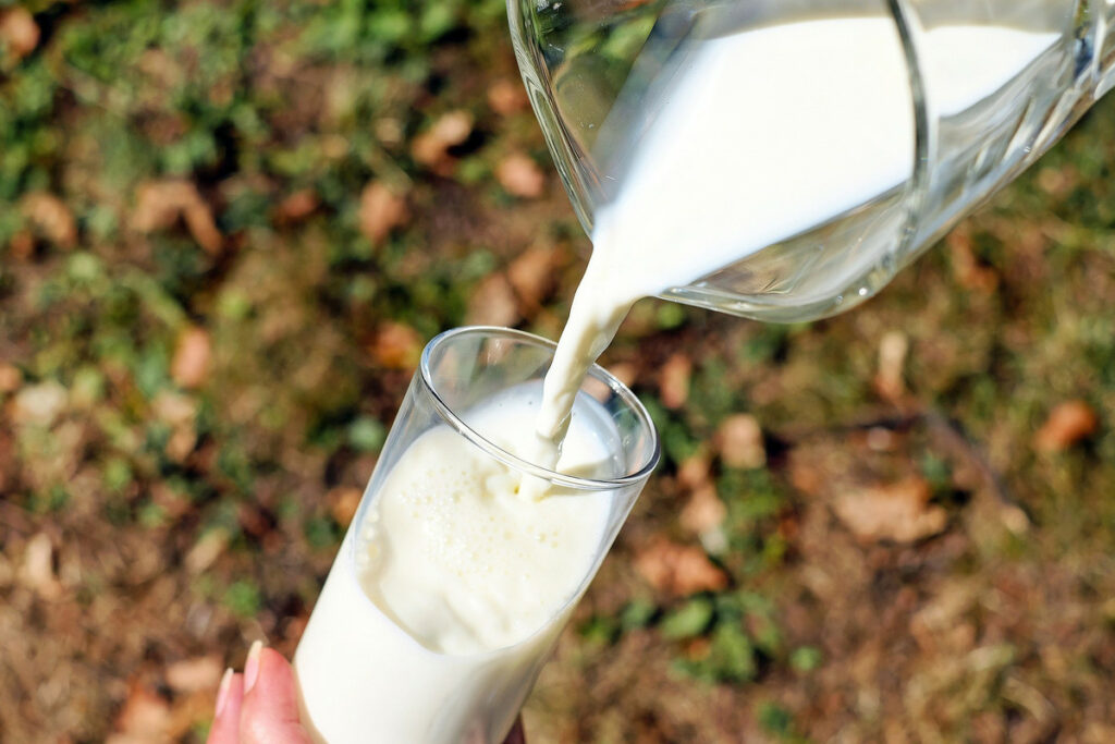 What Happens When You Drink Spoiled Milk?
