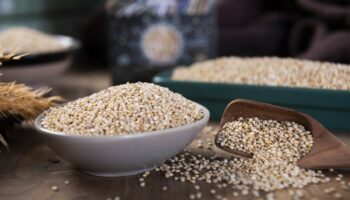 Does Quinoa Go Bad?