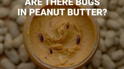 Are There Bugs in Peanut Butter?