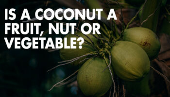 Is a Coconut a Fruit, Nut or Vegetable?