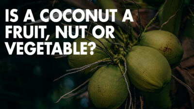 Is a Coconut a Fruit, Nut or Vegetable?