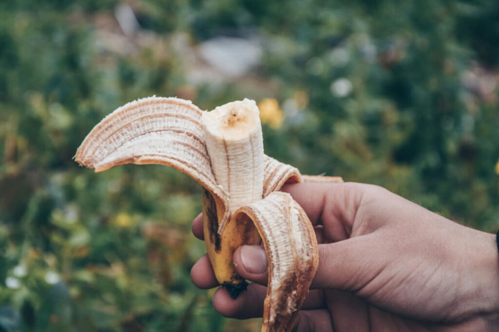 Man holding a peeled banana in his hand