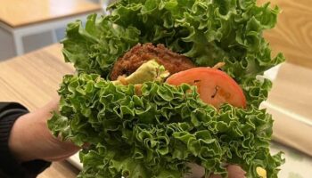Shake Shack Lettuce Wrap (The Ultimate Low-Carb Treat)