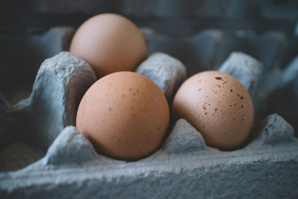 egg-guides