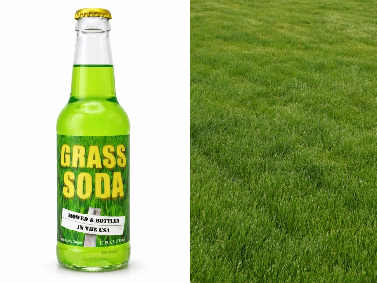 Bottle of Rocket Fizz Grass Soda, a novelty soft drink inspired by freshly cut grass.